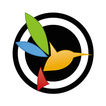 آیکون‌ BlackVue