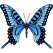Click on the butterfly