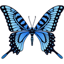 Click on the butterfly APK