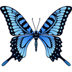 Click on the butterfly ícone