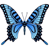 Click on the butterfly ícone