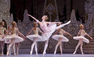 Apprendre les pas de ballet Affiche