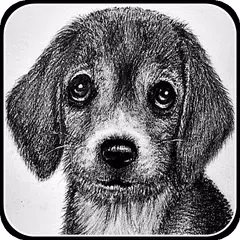 Como desenhar desenhos a lápis