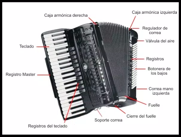 How to play an accordion. Online accordion course APK for Android Download