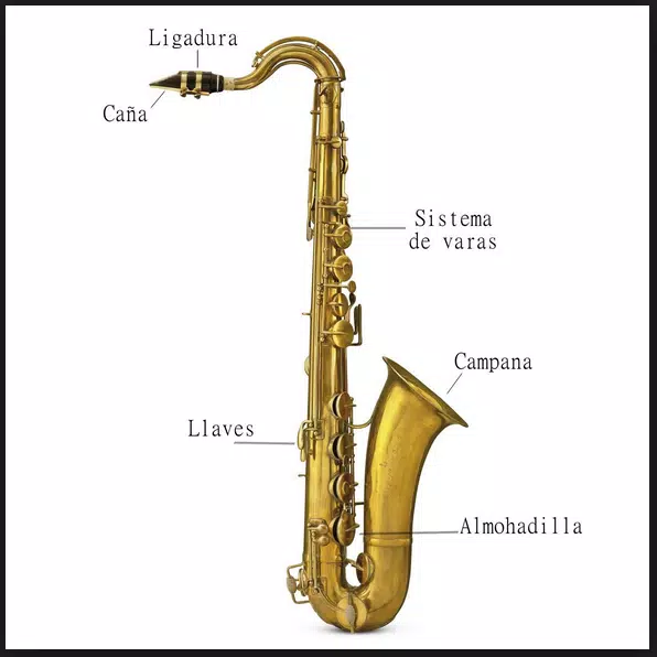 Learn to play saxophone. Alto saxophone courses APK for Android Download