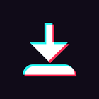 Video Saver for Tik Tok: No Login Required icône