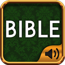 Bible commentary APK
