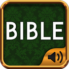 Bible commentary simgesi