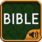 Bible commentary icône