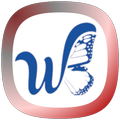 Waappi