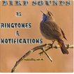 Bird Sounds comme sonneries et notifications