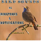Bird Sounds comme sonneries et notifications icône