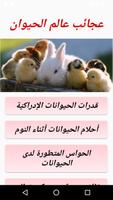 Merveilles du monde animal poster