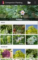 Companion Planting screenshot 1