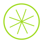 Lime icon