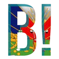 Bwas 509
