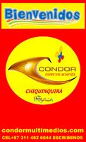 Condor Virtual تصوير الشاشة 1