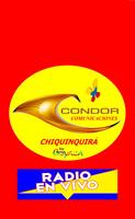 Condor Virtual تصوير الشاشة 2