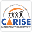 C-A-RISE TESTS