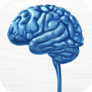 7th Emins Congress APK