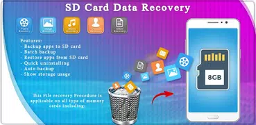 SD Card Data Recovery