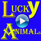 Lucky Animals