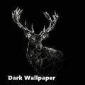 Dark Wallpaper