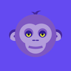 Monkey-Video Chat APK
