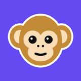 Monkey - random video chat APK