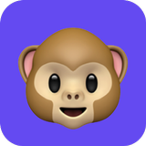 Monkey Video Chat