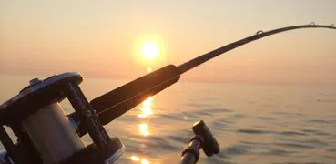 Learn fishing