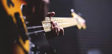 Learn to play the bass