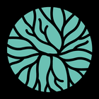 The Brave App أيقونة