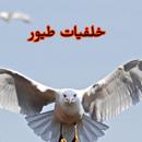 خلفيات طيور 1 APK