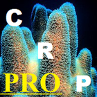 Coral Reef Parameters PRO icône