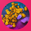Coronavirus COVID 19: live tracker & symptoms APK
