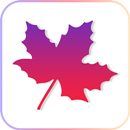 Maple corner APK