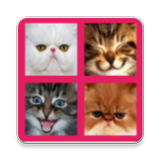2048 Cute Cats icon