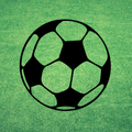 NET CORRECT SCORES