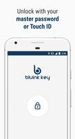 Bluink Key captura de pantalla 2