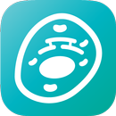 Cell 101 VR APK