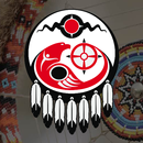 Assembly of First Nations - Na APK