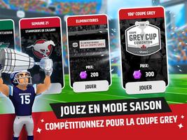 Football délirant LCF capture d'écran 2