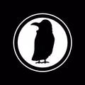 Rook Coffee