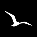 Flight Rewards