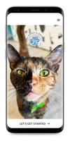 Toe Beans & Dreams-poster