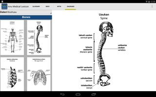 Innu Medical Lexicon screenshot 3