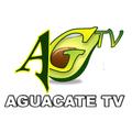 Aguacate TV