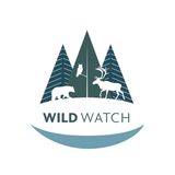 Wild Watch aplikacja