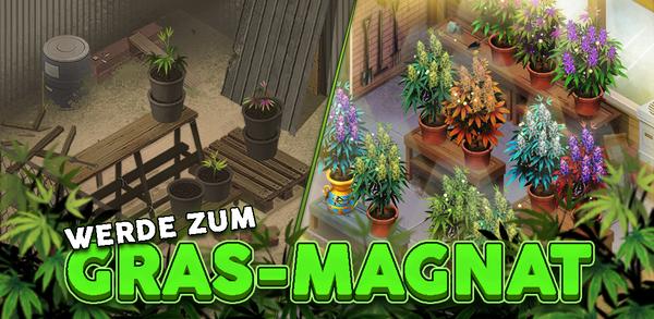 Anleitung zum Download die neueste Version 2.41.0 von Hempire - Plant Growing Game APK für Android 2025 image